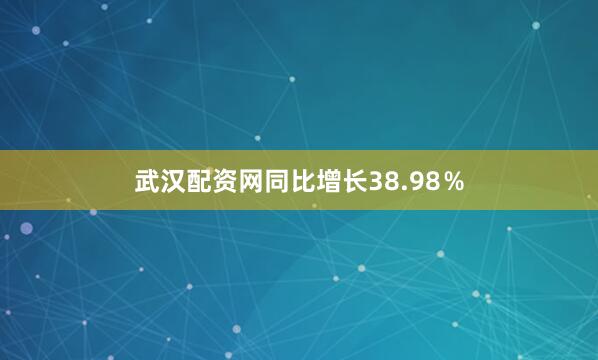 武汉配资网同比增长38.98％