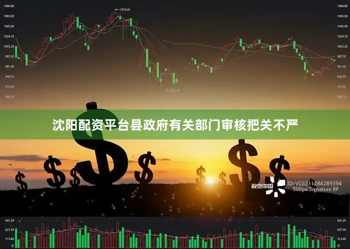 沈阳配资平台县政府有关部门审核把关不严
