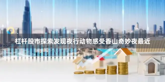 杠杆股市探索发现夜行动物感受香山奇妙夜最近