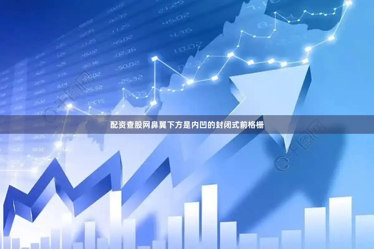 配资查股网鼻翼下方是内凹的封闭式前格栅