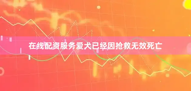 在线配资服务爱犬已经因抢救无效死亡